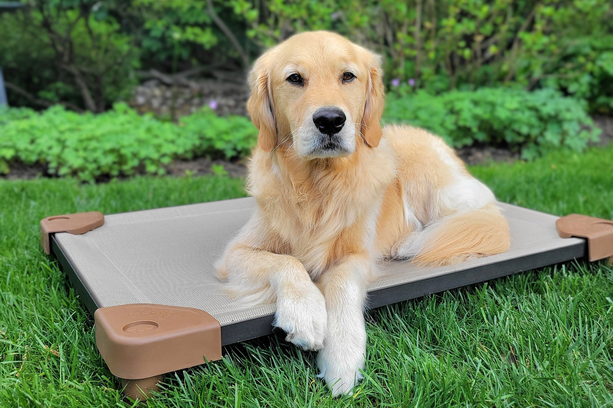 テーブル・チェア・ハンモック DOG COT ND ver. RETRO STRIPE Collections – The PetCot Company