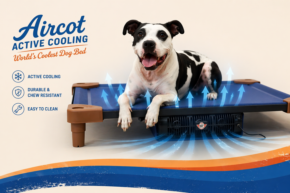 Dog lying on an Aircot Active Cooling dog bed with product features listed.