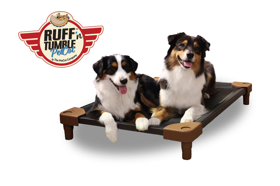 Two Australian shepherds lying on a Ruff'n Tumble PetCot with black mesh and brown corner caps