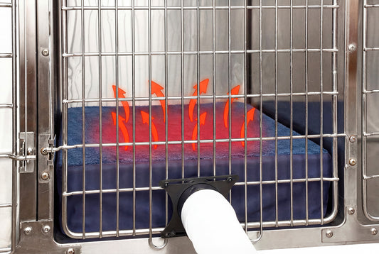 Tailwind Recovery Cot