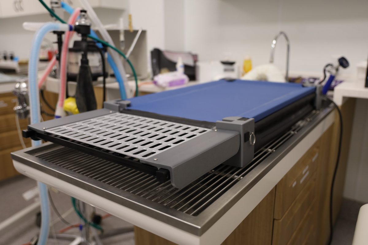 Veterinary Dental Warming Cot on Wet Table